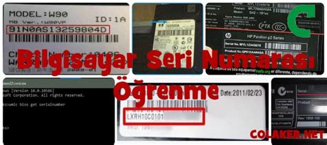 guess seri numarası sorgulama